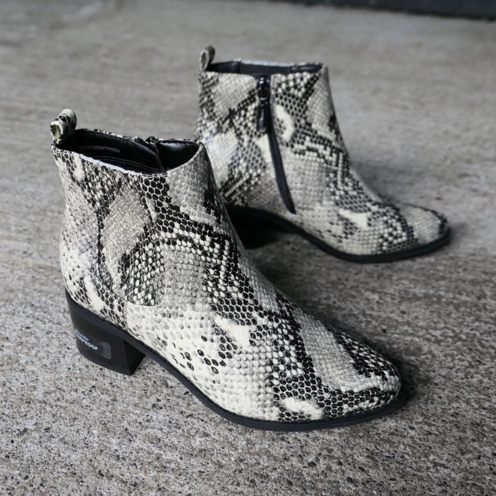 blondo elvina snakeskin ankle boots